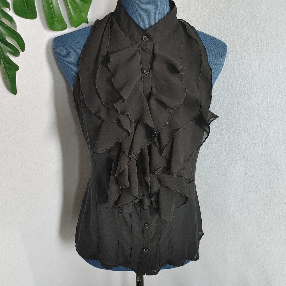 Dots Sheer Black Ruffle Button Shirt Blouse